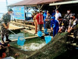 Danlanal Sibolga Launching Kelompok Budidaya Ikan Keramba Apung Bahari; Menopang Kesejahteraan dan Kemandirian Ekonomi
