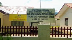 Larangan Penyeberangan Hewan Kuku Belah Via Pelabuhan Sibolga Sesuai SE Satgas PMK dan SK Wali Kota