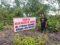 Masria Sinurat Ancam Laporkan Oknum Pemalsu Surat Tanah di Bukit Panomboman
