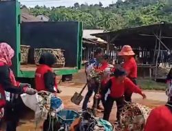 Dinas LH Tapteng Gotong Royong Bersihkan Pasar Hajoran | Tenaga Kebersihan Minta Kenaikan Gaji