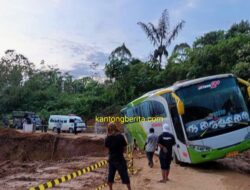 Tak Ada Petugas Lalu Lintas yang Berjaga, Sebuah Bus Pariwisata Lolos Masuk Jalan Rampah-Poriaha dan Nyaris Masuk Jurang