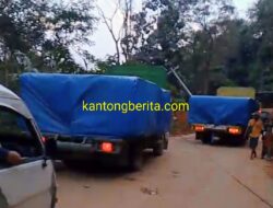 Meski Masih Darurat, Truk Logging Milik PT. Mujur Timber Nekat Lewat Jalur Rampah-Poriaha